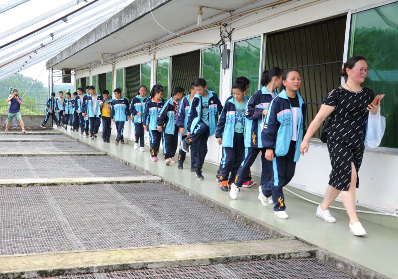 ѧ���ι۽�����